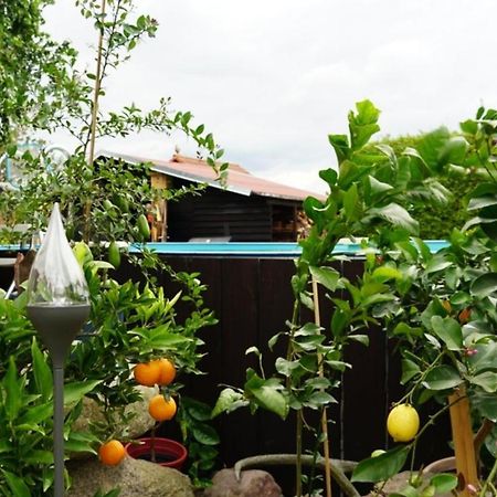 Pension Limone Ferienwohnung 1 Neu Lindenberg Bagian luar foto