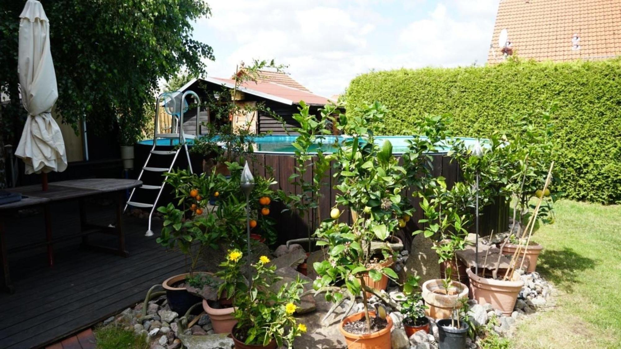 Pension Limone Ferienwohnung 1 Neu Lindenberg Bagian luar foto